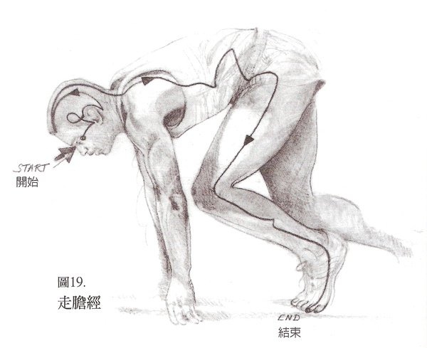 能量醫療0009-膽經.jpg