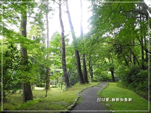 DSCN9183.JPG