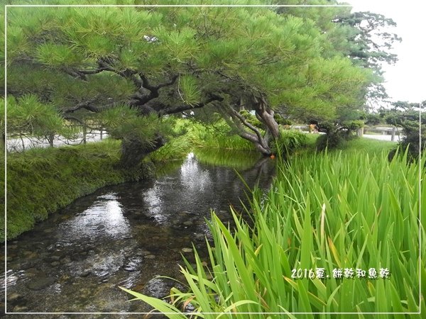 DSCN9540.JPG