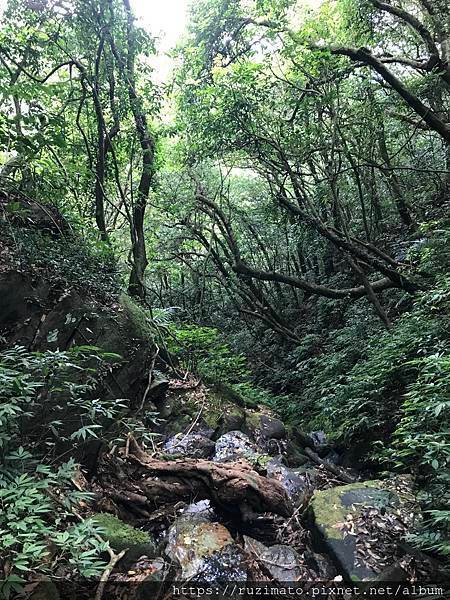 燦光寮古道 沿途