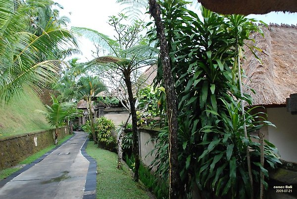 Bali Ubud Puri Wulandari Quiet route to villa