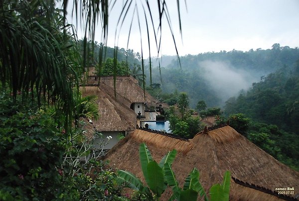 Bali Ubud Puri Wulandari view of our villa from top