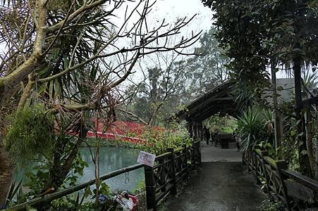 P1090238.JPG