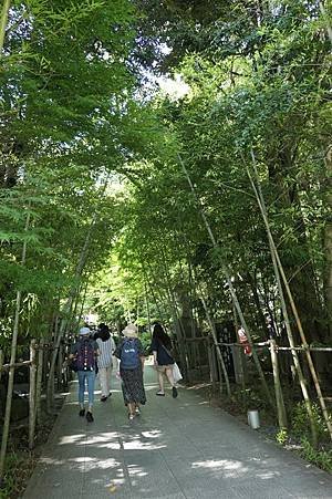 0728081-來宮神社.JPG