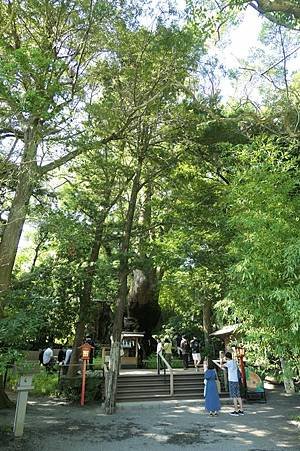 0728143-來宮神社.JPG