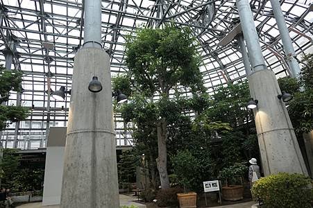 0707191-EGG植物園.JPG