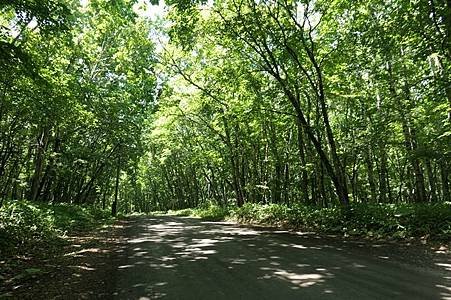 0708109-前往JR釧路溼原站.JPG