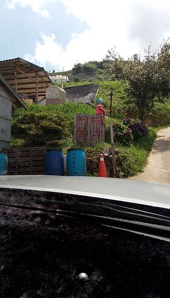 IMAG0885.jpg