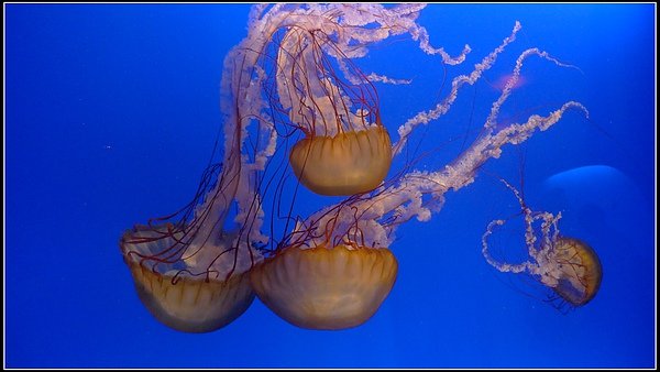 _091224139.jpg
