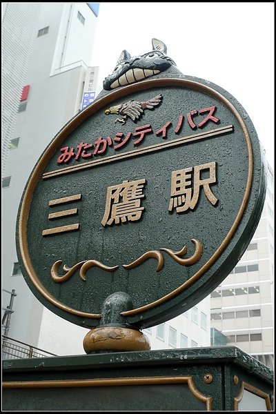 _10061405.jpg