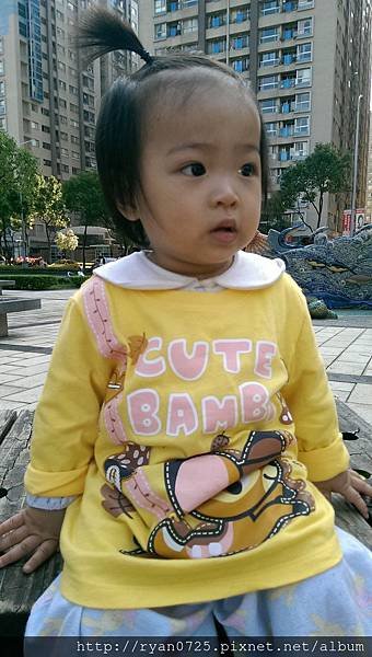 IMAG2290.jpg