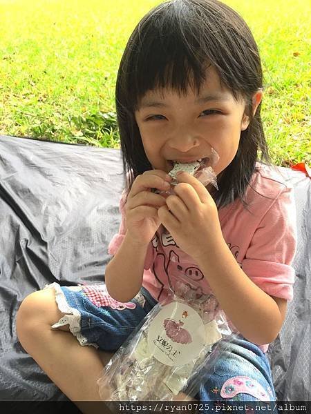 安妮公主