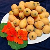 Loquat_fruit