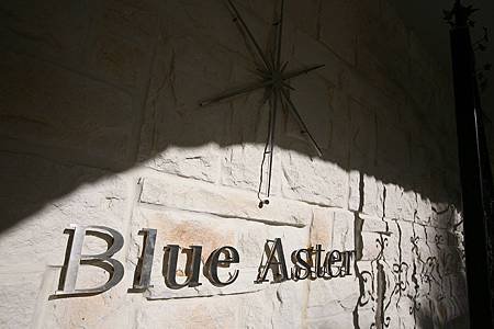 Blue Aster3.JPG