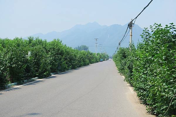 【北京自由行】深度旅遊 走遍明十三陵！神路+定陵+長陵+其他