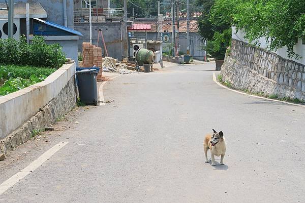 【北京自由行】深度旅遊 走遍明十三陵！神路+定陵+長陵+其他