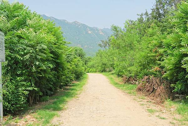 【北京自由行】深度旅遊 走遍明十三陵！神路+定陵+長陵+其他