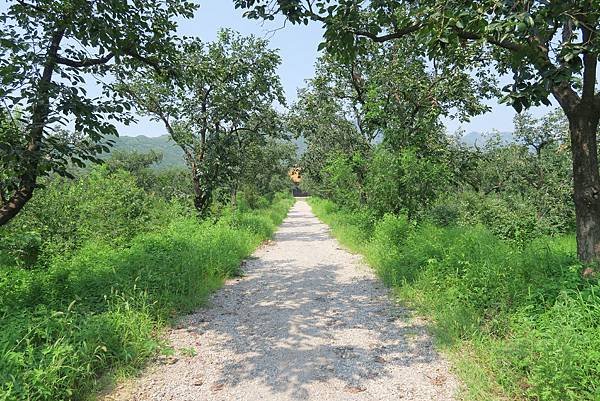 【北京自由行】深度旅遊 走遍明十三陵！神路+定陵+長陵+其他