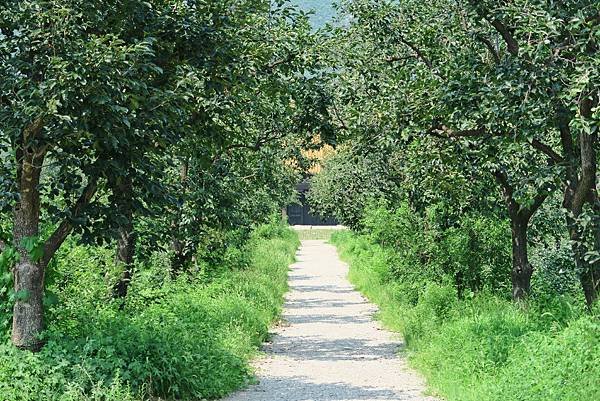 【北京自由行】深度旅遊 走遍明十三陵！神路+定陵+長陵+其他