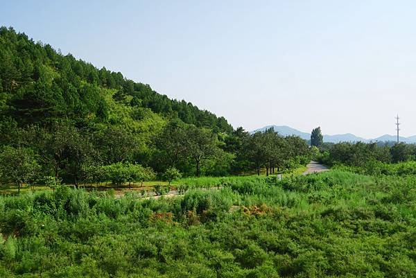 【北京自由行】深度旅遊 走遍明十三陵！神路+定陵+長陵+其他