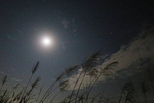 【約會小技巧-看流星雨篇】20個新竹 台中 台南最適合看流星