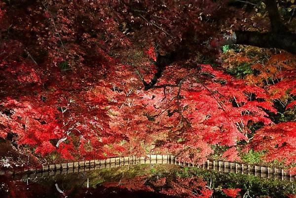 【日本｜青森】20個人氣景點懶人包！帶你看世界第一美溪. 日