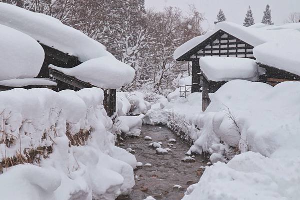 【日本｜秋田】不只泡乳頭溫泉！住宿竟可日本酒飲み放題？深入你