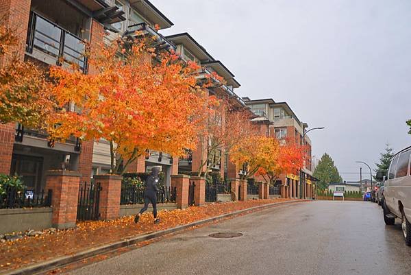 【加拿大】入住前你不能不知道的寄宿家庭禁忌｜深度分享寄宿經驗