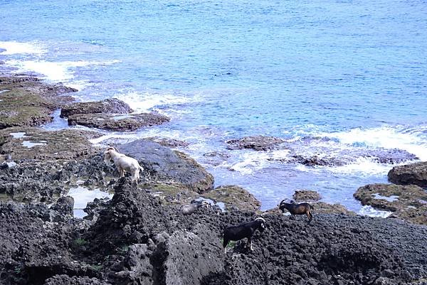 【蘭嶼】太平洋上遺世獨立的珍珠：蘭嶼朗島部落深度文化小旅行｜