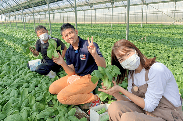 產地達人教你吃 愛知縣美食3.png