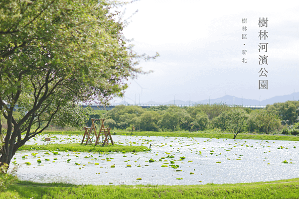 樹林河濱公園 山佳荷花池.png