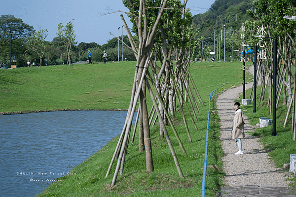 新北市樹林區景點 沐心池20.png