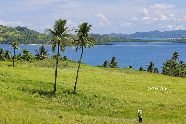 錫亞高旅遊 Siargao.png