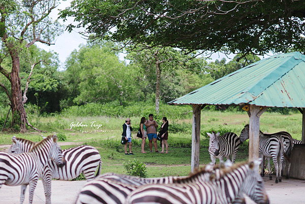 科隆景點 Calauit Safari Park.png