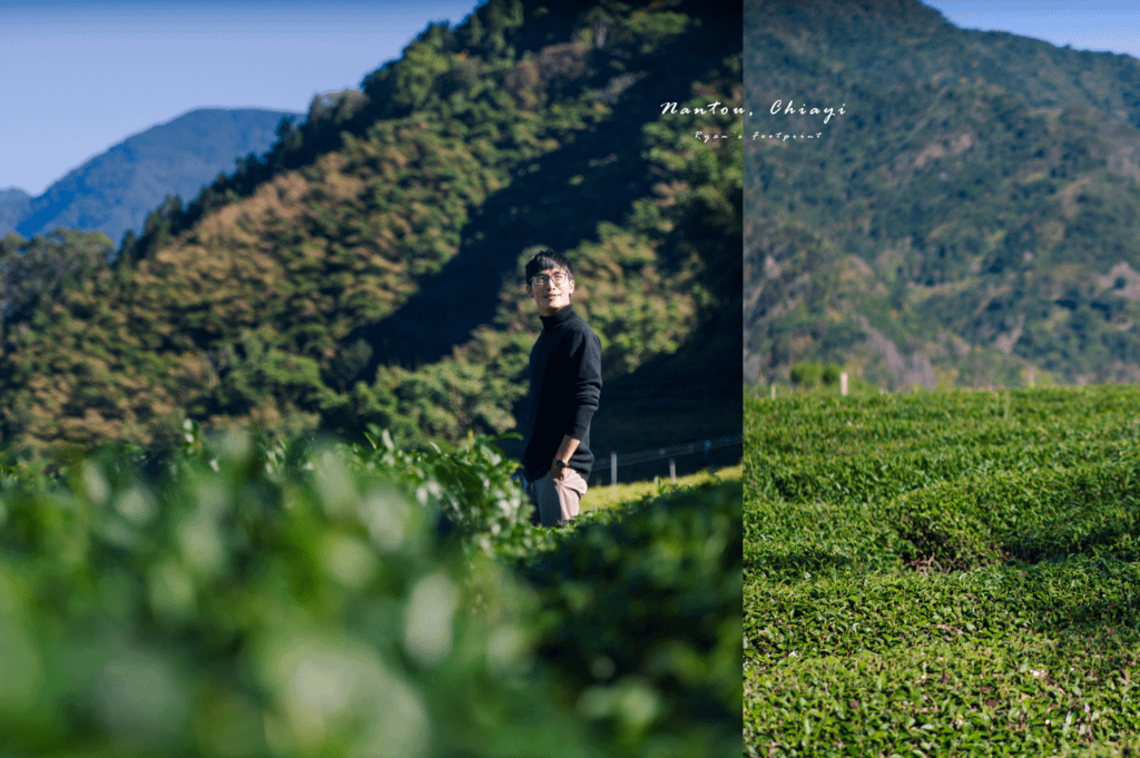 南投景點 草坪頭觀光茶園.png