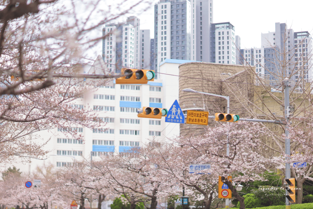 釜山 南川洞.png