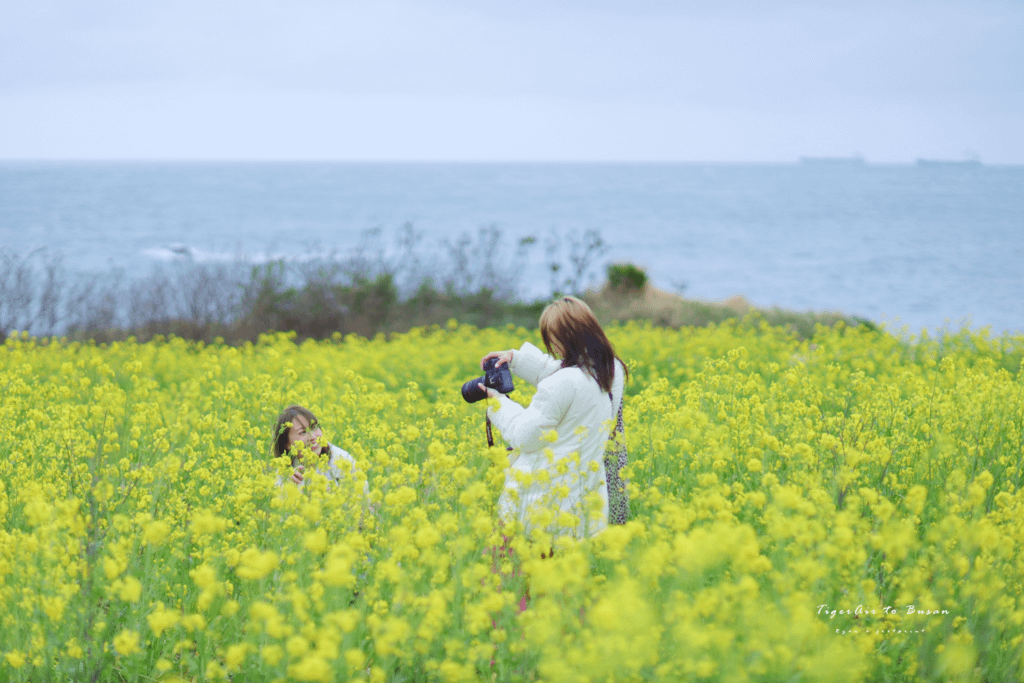 蔚山景點 瑟島.png