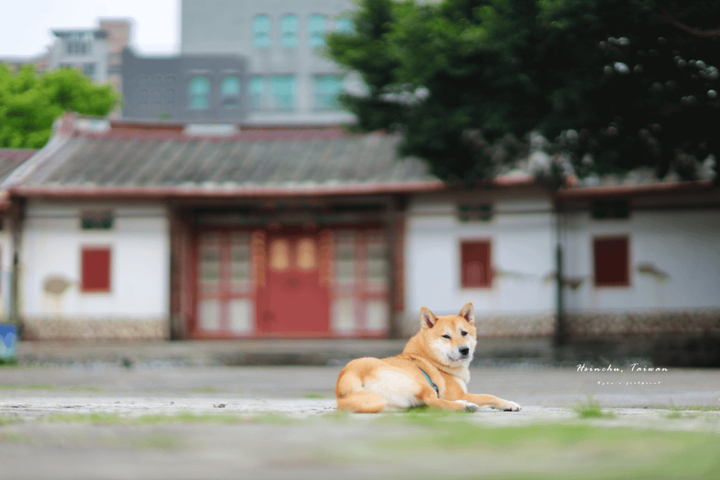 新竹景點 六家古厝群.png