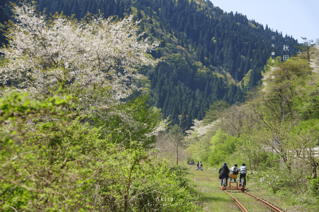 大館・小坂鐵路自行車價格.png