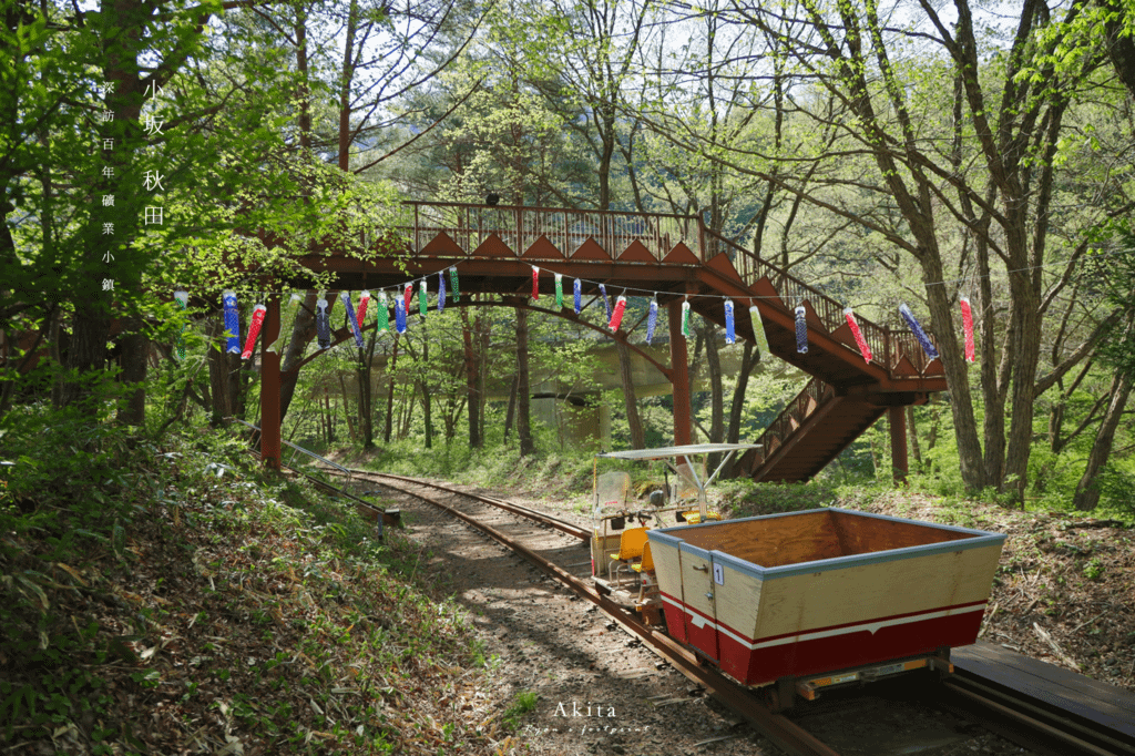 大館・小坂鐵路自行車.png