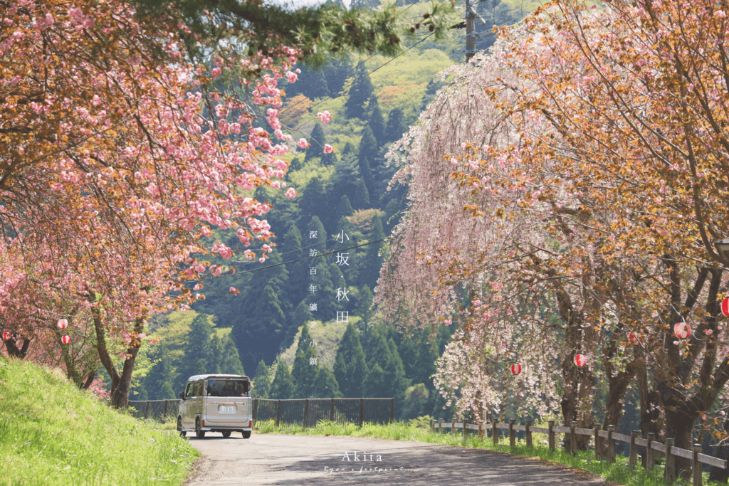 秋田一日遊路線.png