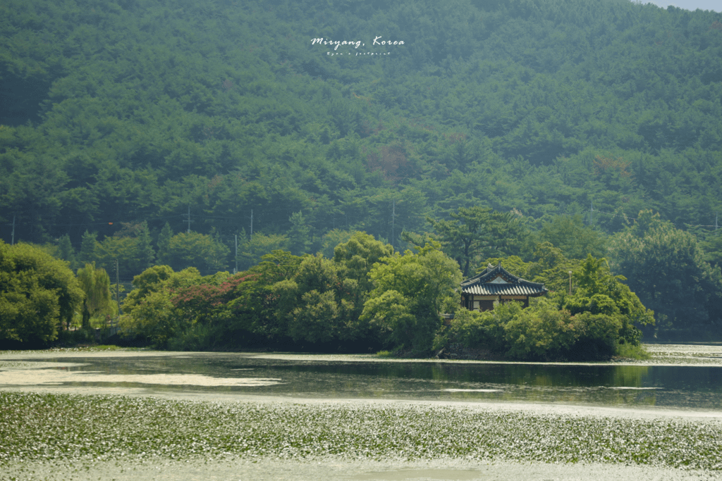 密陽景點 位良池.png