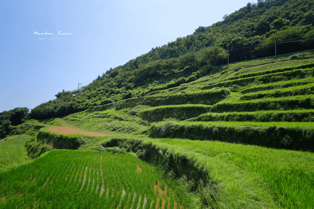 南海景點推薦 加川梯田村.png