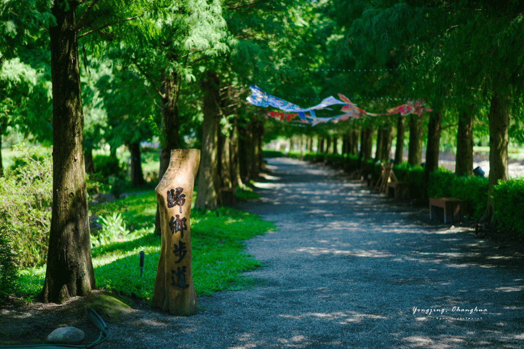 成美文化園 歸鄉步道 (北國風情落羽松秘境).png