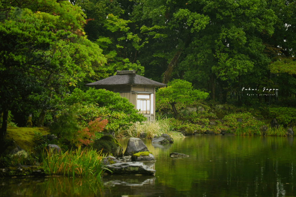 福井景點推薦 養浩館庭園.png