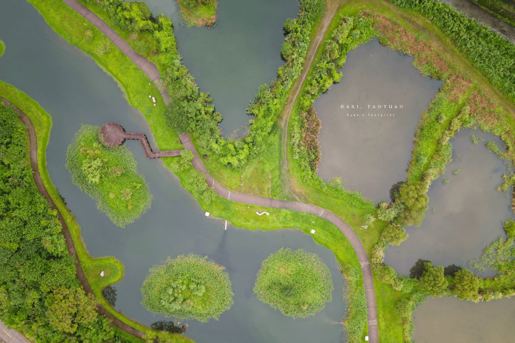 桃園景點 月眉人工濕地生態公園.png