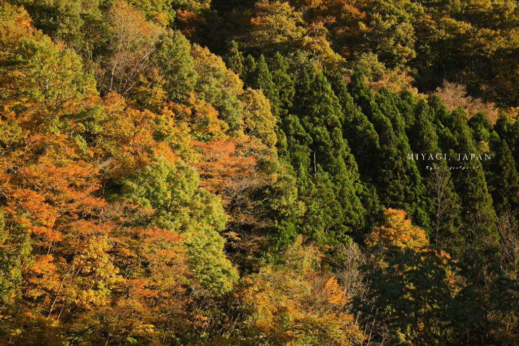 山彥大吊橋 (やまびこ吊橋).png