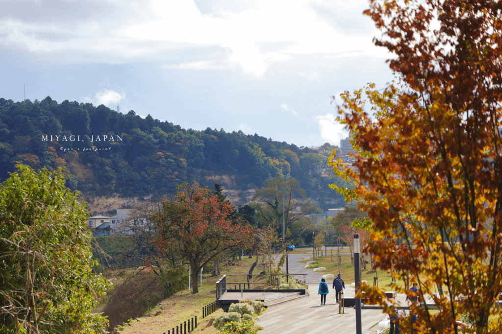 仙台楓葉 青葉山公園.png