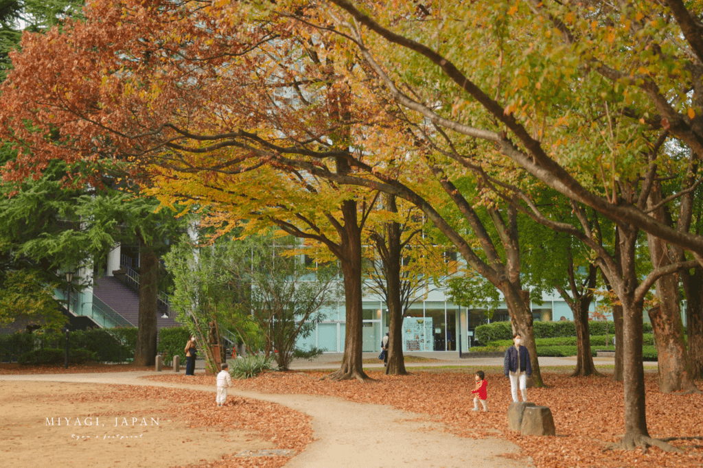 仙台楓葉 錦町公園.png