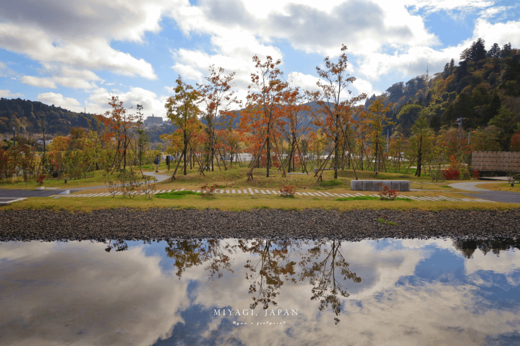 仙台銀杏 青葉山公園.png